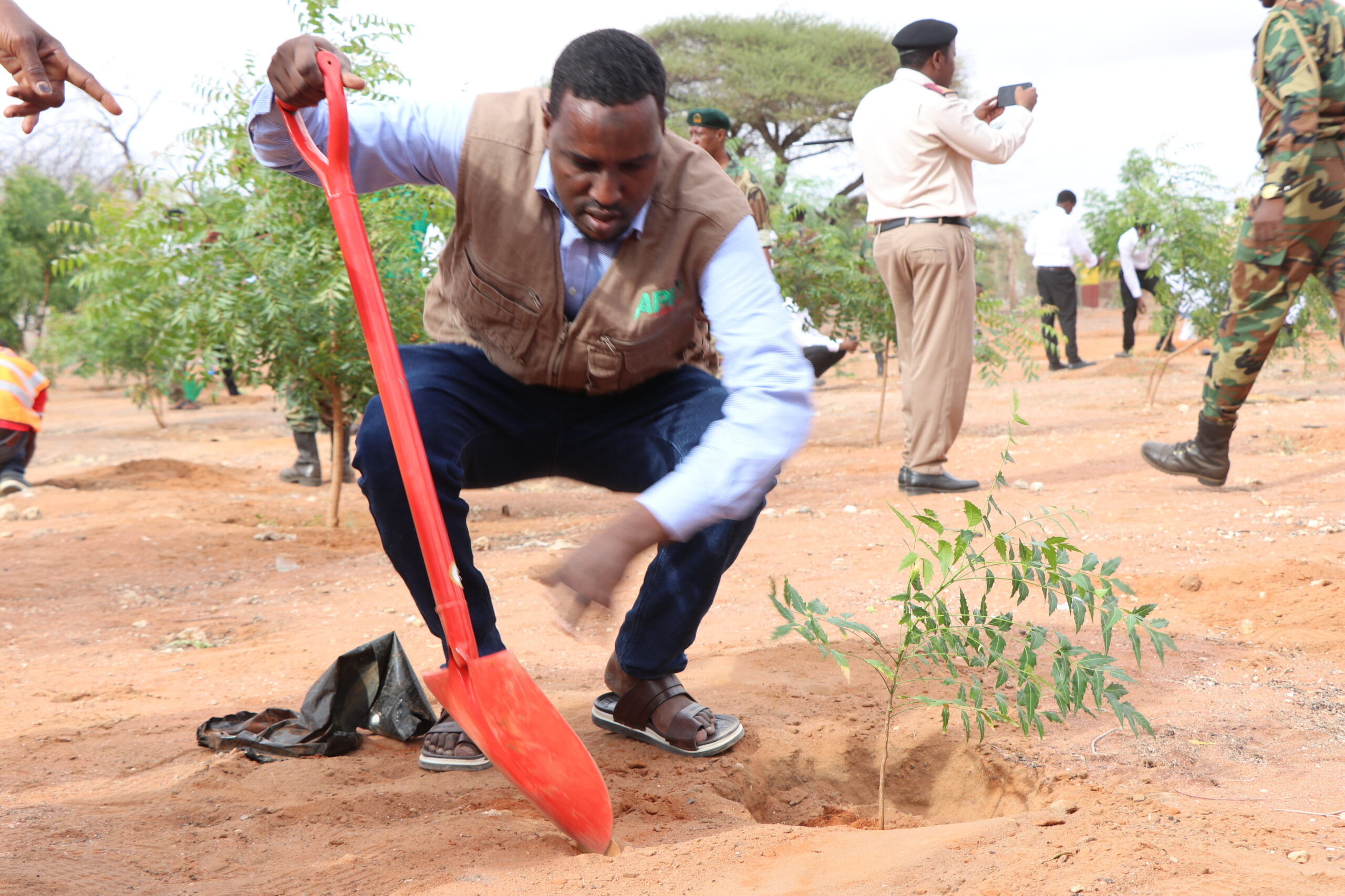 APID Africa